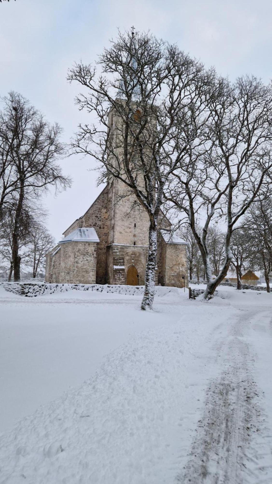 Püha Guesthouse Puha Eksteriør billede